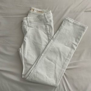 Hollister Skinny Jeans